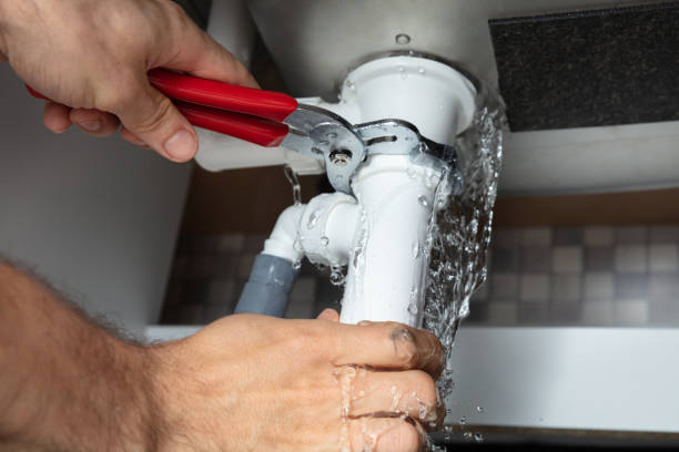 Best Flood damage cleanup  in Brownsburg, IN