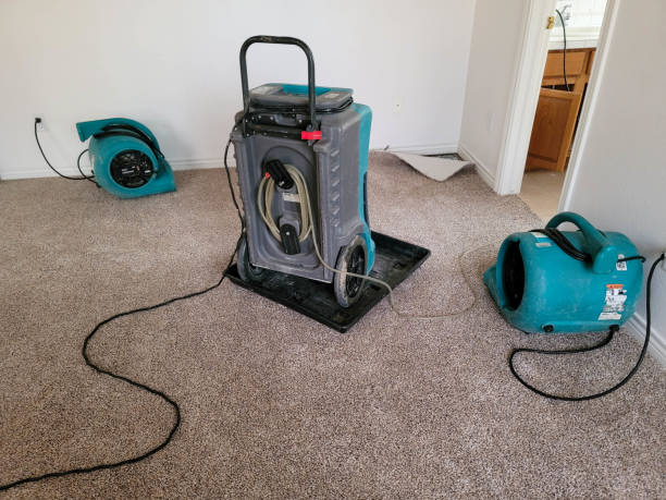 Best Water damage restoration near me  in Brownsburg, IN