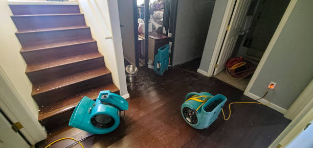  Brownsburg, IN Water damage restoration Pros