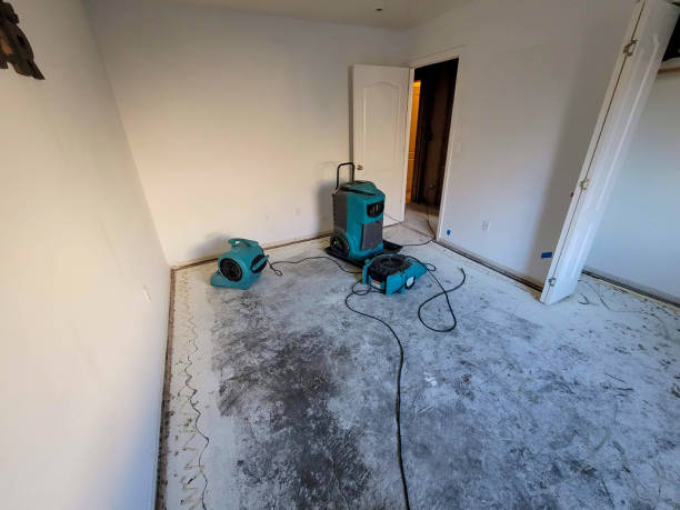 Best Carpet water damage restoration  in Brownsburg, IN