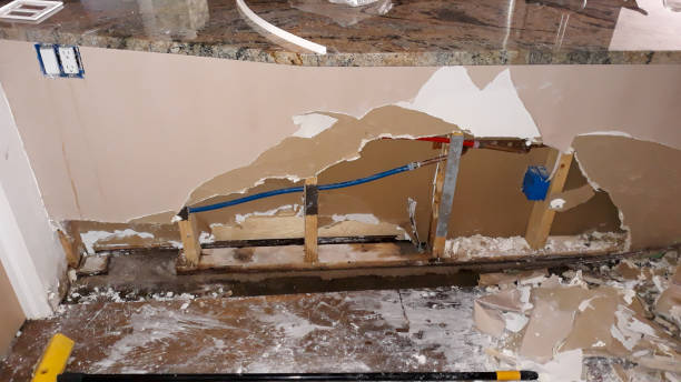 Best Basement water damage restoration  in Brownsburg, IN