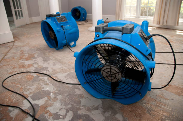 Reliable Brownsburg, IN Water damage restoration Solutions