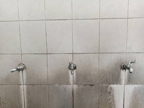 Best 24/7 water damage repair  in Brownsburg, IN