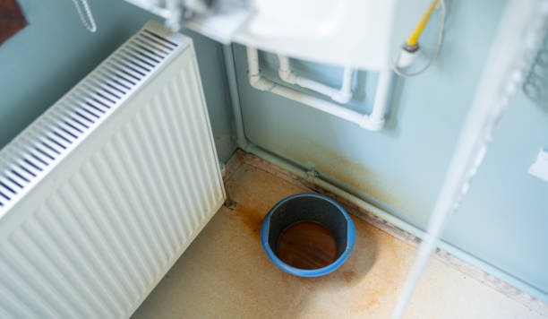 Best Water damage restoration cost  in Brownsburg, IN